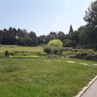 Exkurze do botanické zahrady a arboreta v Brně